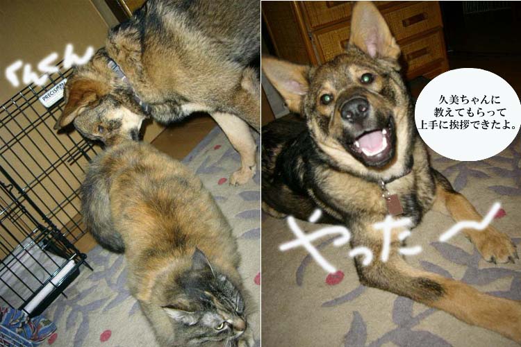 ご挨拶が上手になったよ。 _a0126743_2532089.jpg
