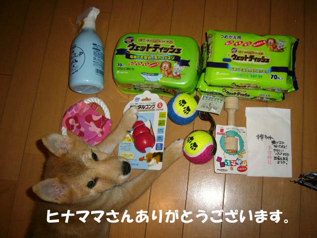 内弁慶さん _a0126743_4303984.jpg