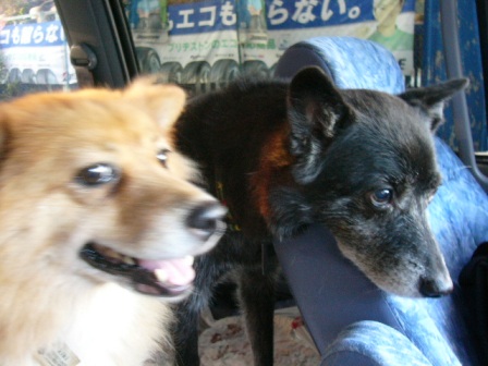 家族サービスデー _a0126743_6455630.jpg