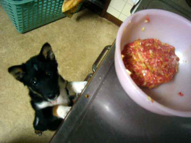 食いしん坊 _a0126743_8462760.jpg