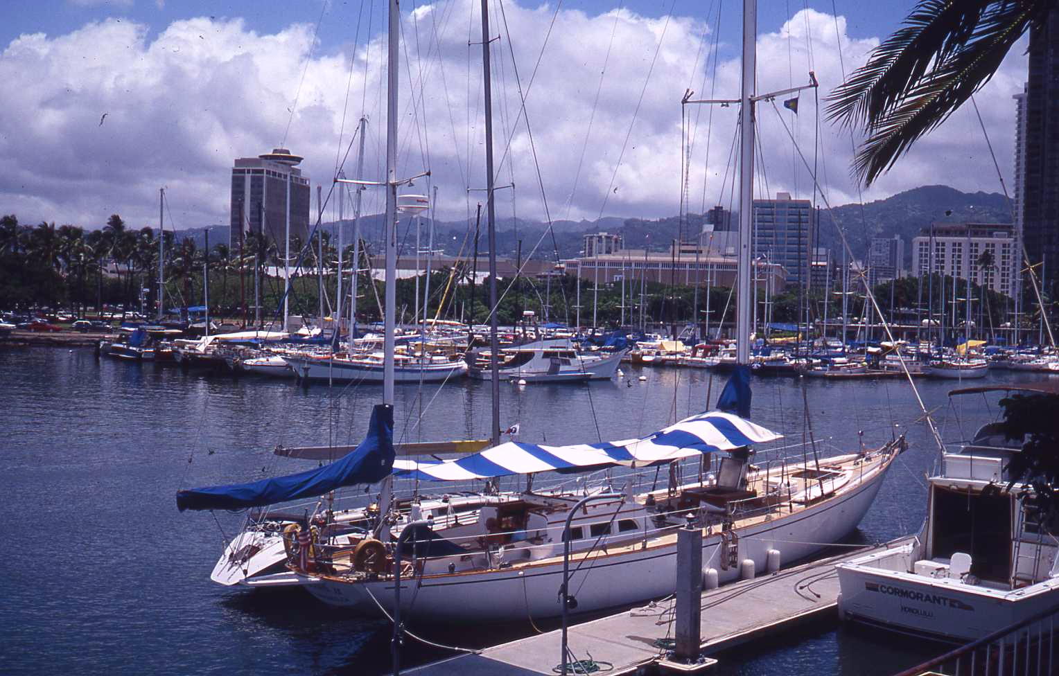 e0114543_98512.jpg