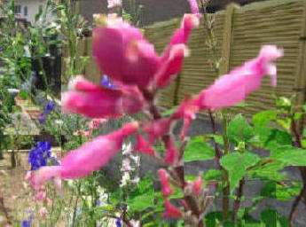 f0031546_20453377.jpg