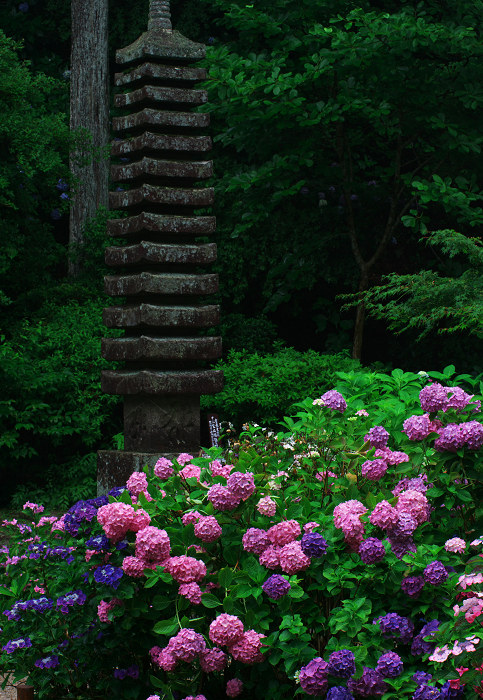 雨に煙る岩船寺（加茂・岩船寺）_f0155048_12242653.jpg