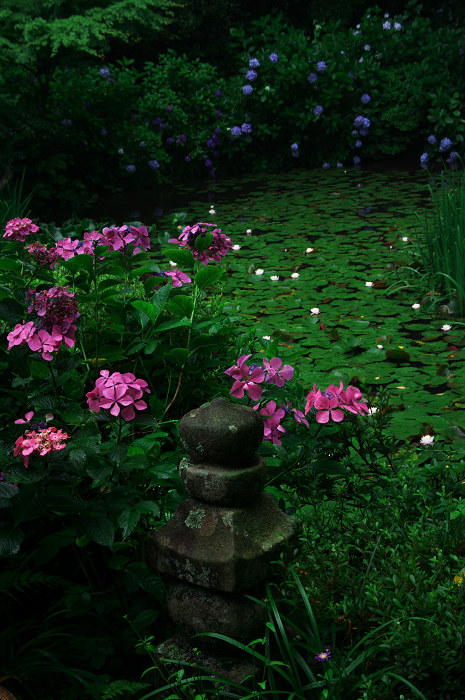 雨に煙る岩船寺（加茂・岩船寺）_f0155048_1224446.jpg