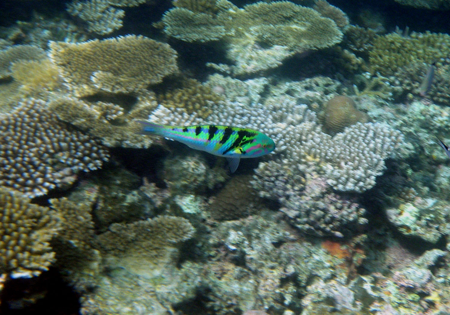 e0105954_12114350.jpg