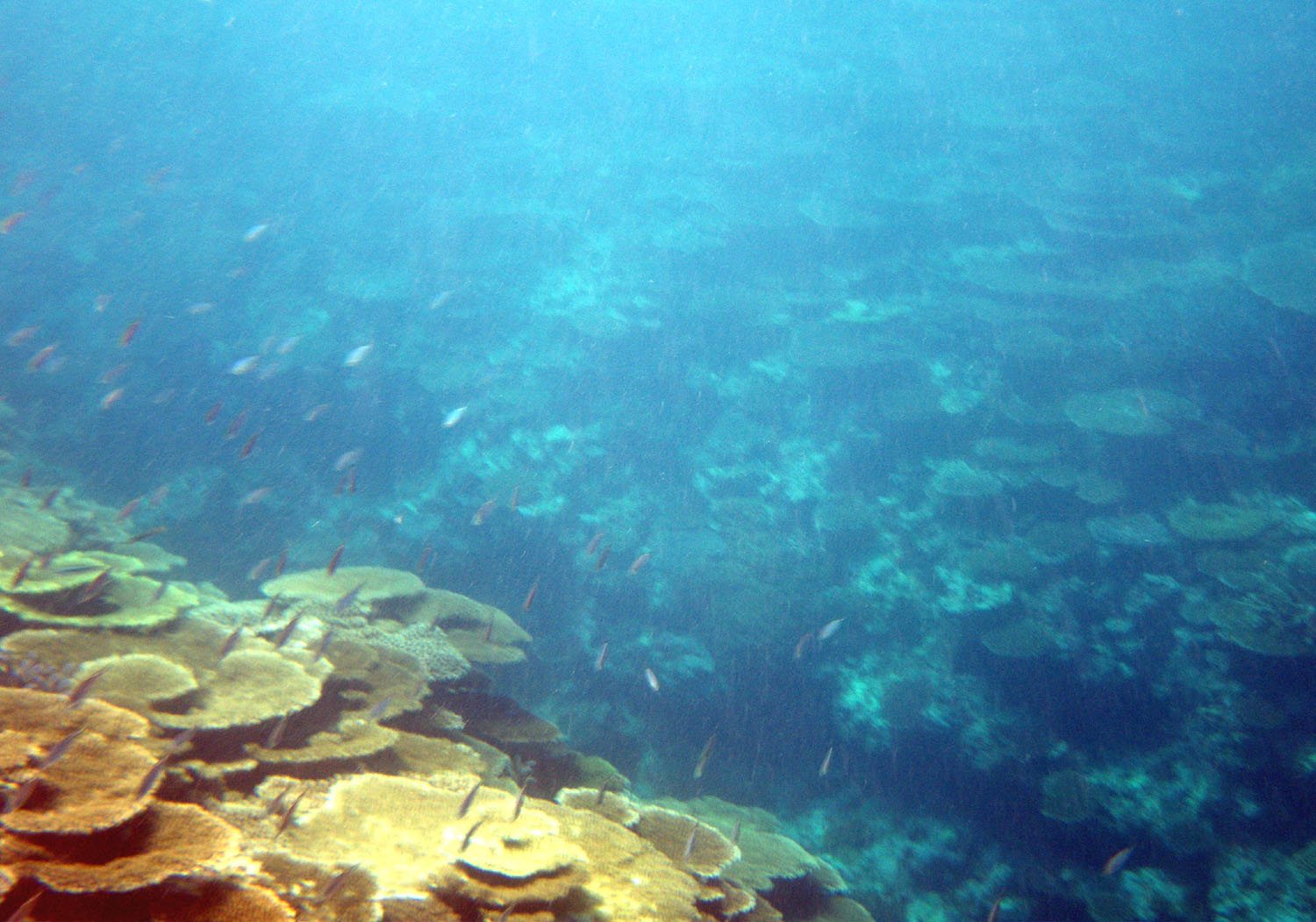 e0105954_12133587.jpg