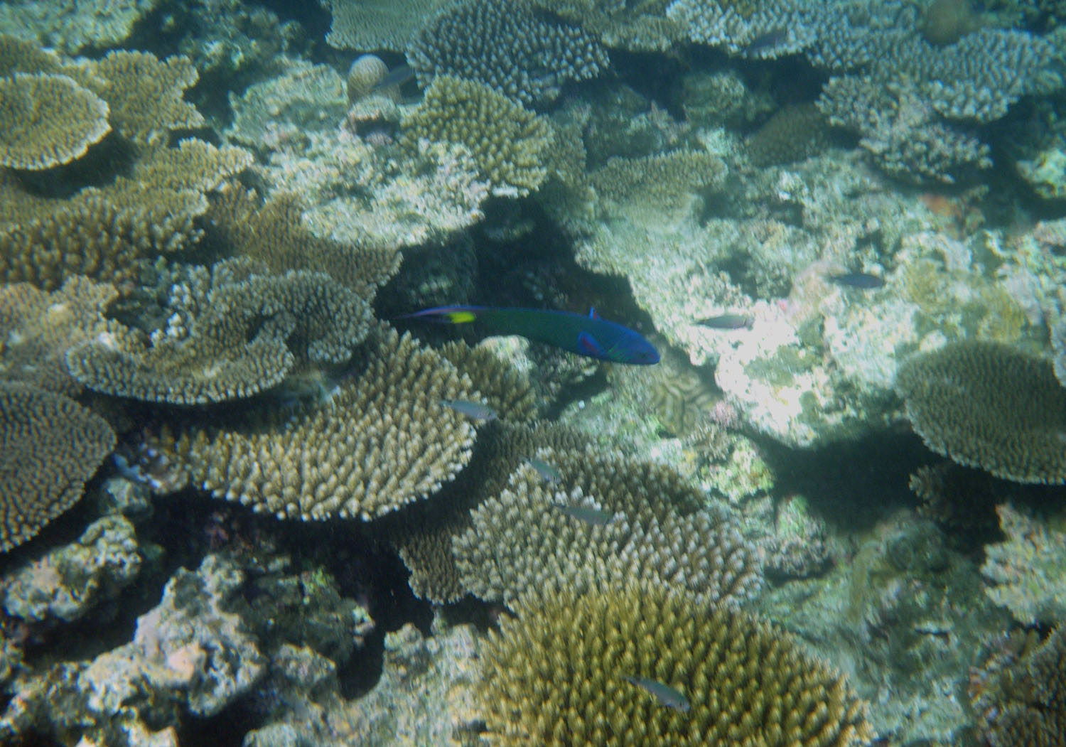 e0105954_1214694.jpg