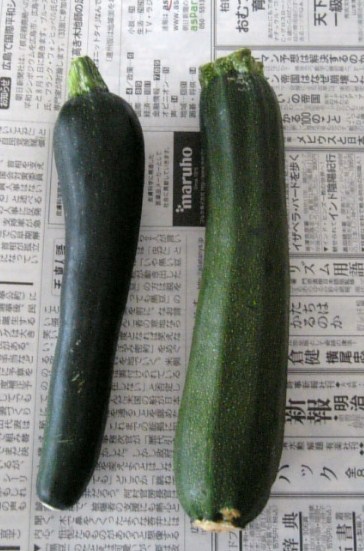 c0115560_1474861.jpg