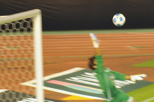 a0006863_131291.jpg