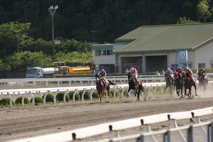 2009年6月28日（日） 高知競馬 9R A2_a0077663_18363967.jpg