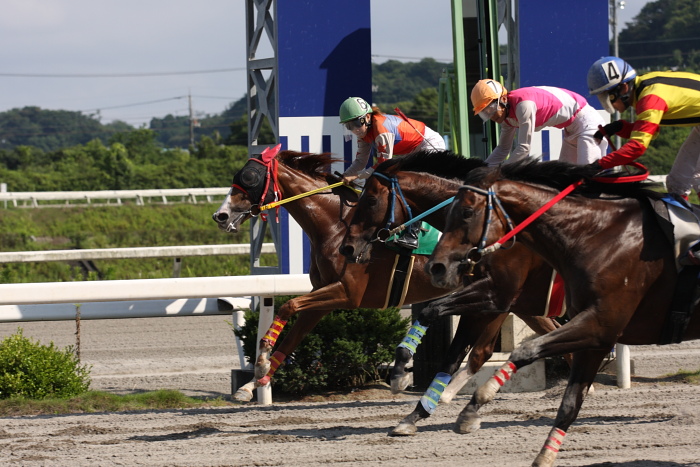 2009年6月28日（日） 高知競馬 9R A2_a0077663_18371054.jpg