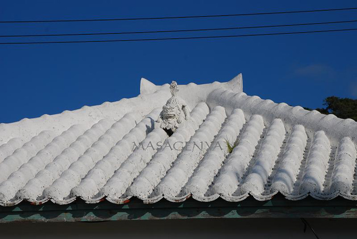 f0184766_22105643.jpg
