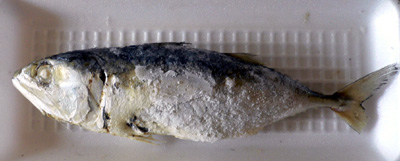 e0159569_11223490.jpg