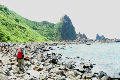 f0083977_51166.jpg