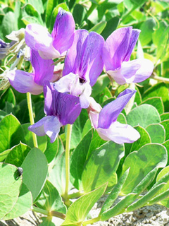 f0083977_5191531.jpg
