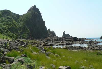 f0083977_522572.jpg