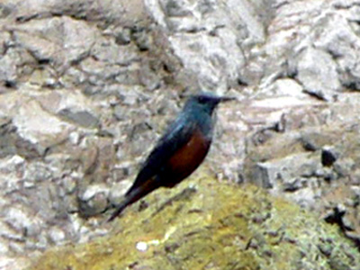 f0083977_5255013.jpg