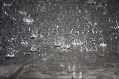 はげしい雨・雨・雨_c0152779_2222127.jpg