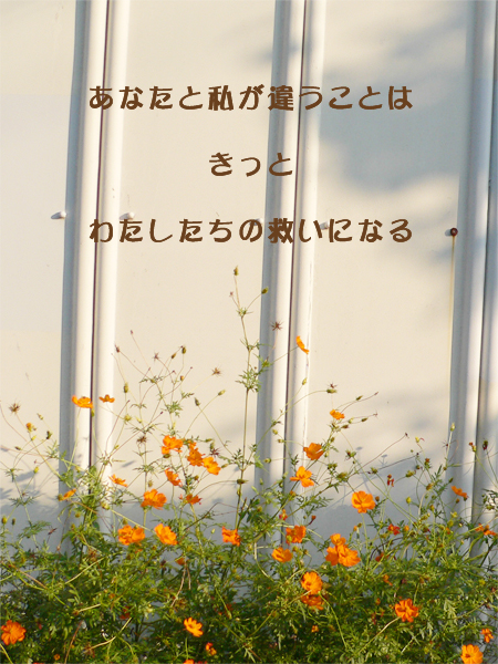 c0007384_12111321.jpg