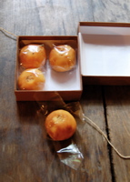 よりみち。_d0028589_2111952.jpg