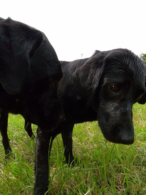a0093592_0445878.jpg