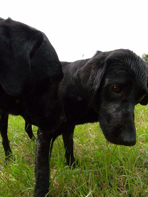 梅雨の合間の日帰りビブリ　27 Jun 2009_a0093592_0445878.jpg