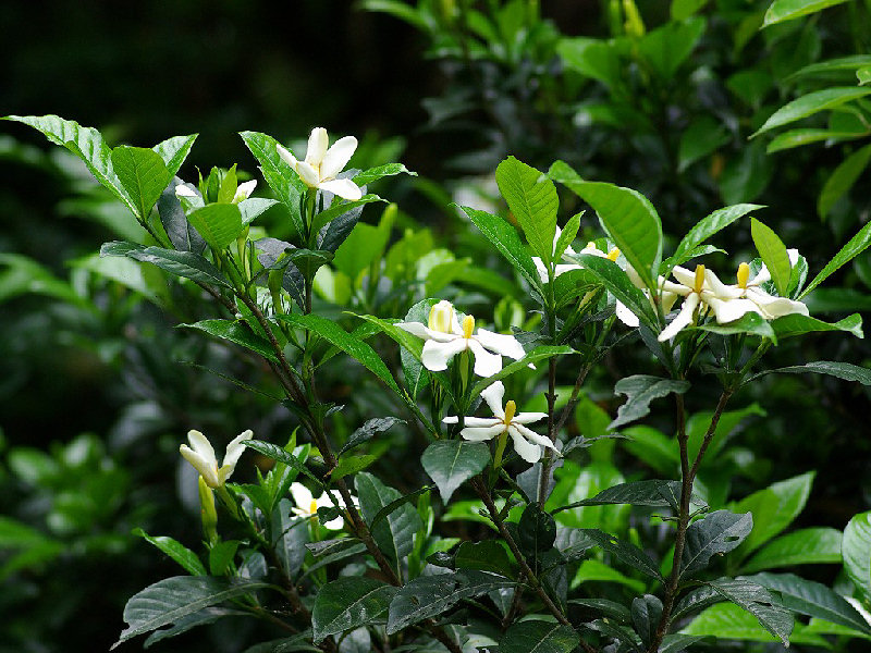 f0204094_9163023.jpg