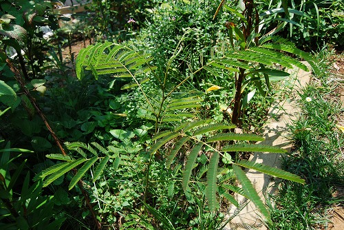 c0124100_23124035.jpg