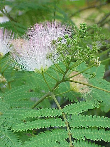 c0124100_23223881.jpg