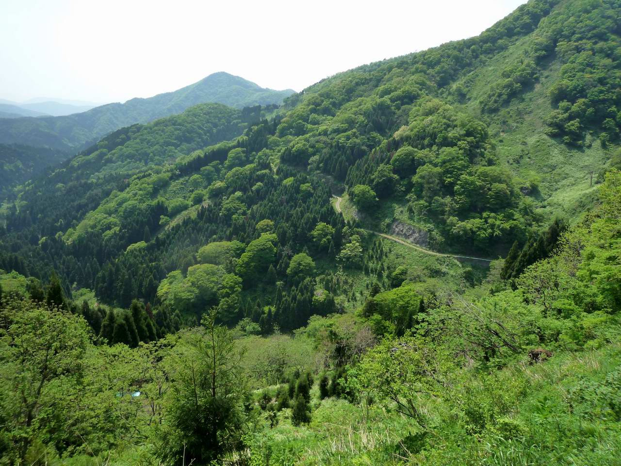 湖北に静かに横たわる花と滝の山－横山岳_e0110500_1252985.jpg