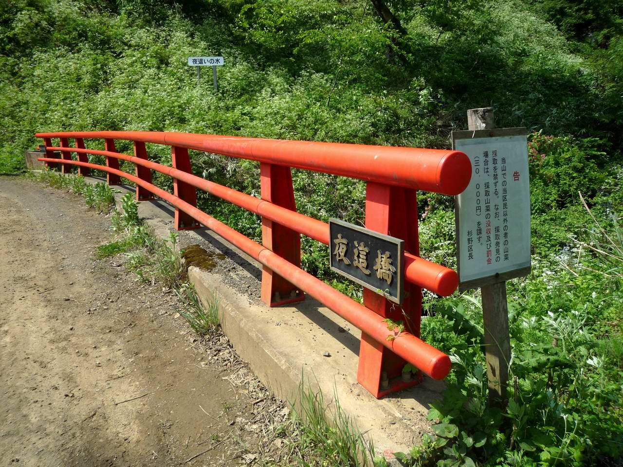 湖北に静かに横たわる花と滝の山－横山岳_e0110500_1354173.jpg