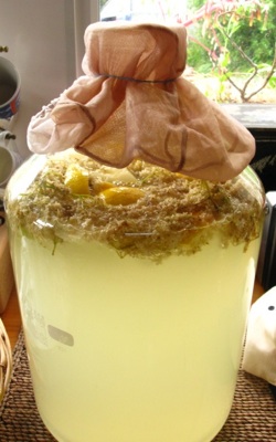 e0149801_6114139.jpg