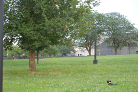 e0039002_23144193.jpg