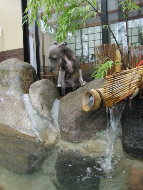 e0141909_2322168.jpg