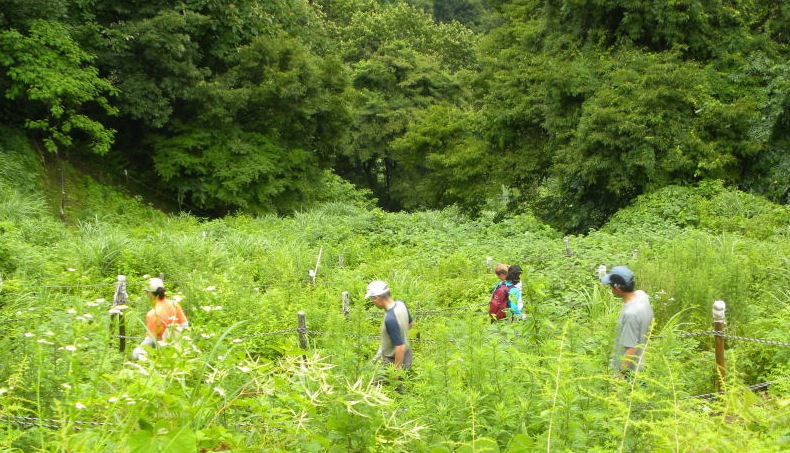 c0078410_0142526.jpg