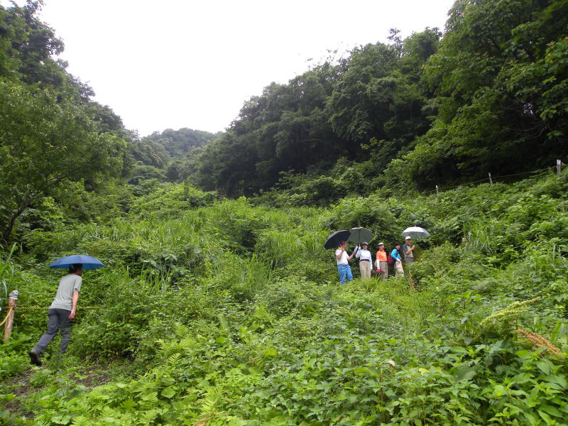 c0078410_073931.jpg