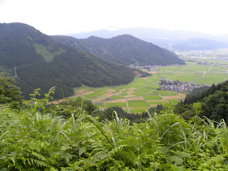 c0078410_082254.jpg