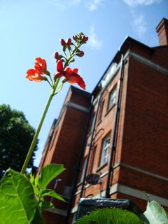 f0017310_6195445.jpg