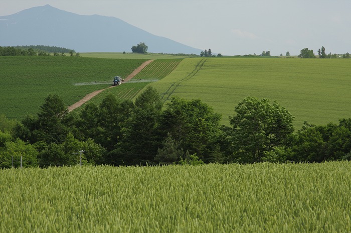 f0139911_2034121.jpg