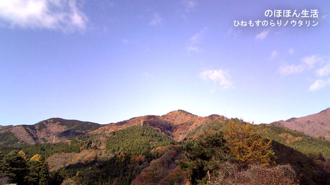 b0182613_1042235.jpg