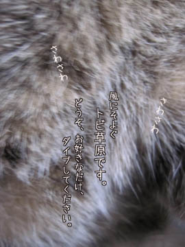 e0156015_11432814.jpg