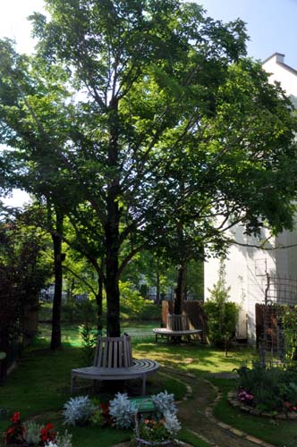 c0059521_22584934.jpg