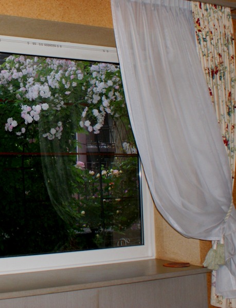 f0170524_12554467.jpg