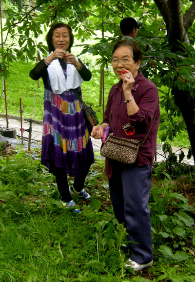 c0152126_2336153.jpg