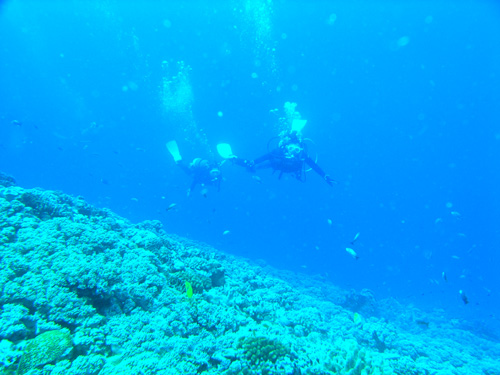 7月2日ピーカンでIN慶良間♪_c0070933_20124985.jpg