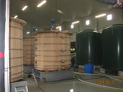 b0087842_22175.jpg
