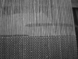 c0047449_18281.jpg