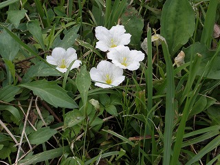 d0048350_20525181.jpg