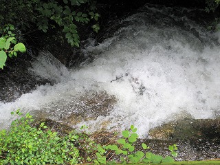 d0048350_2052661.jpg