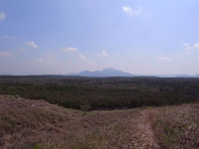 a0134952_14511868.jpg